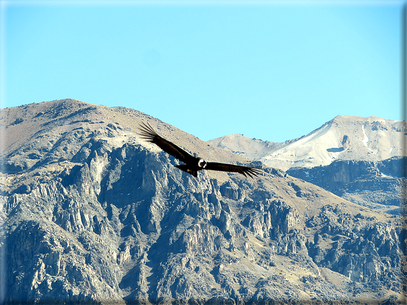 foto Canyon del Colca